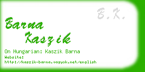 barna kaszik business card